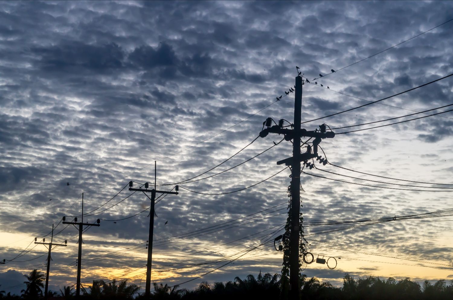 master electrician license tennessee